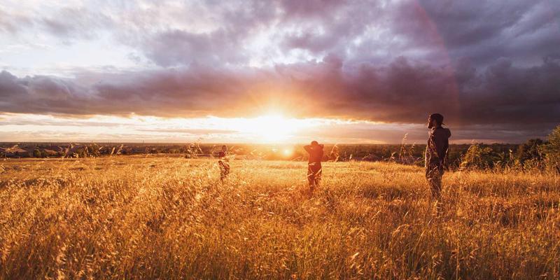 从品牌战略到空间叙事：WLA工作室的软装搭配心法与采购实战指南