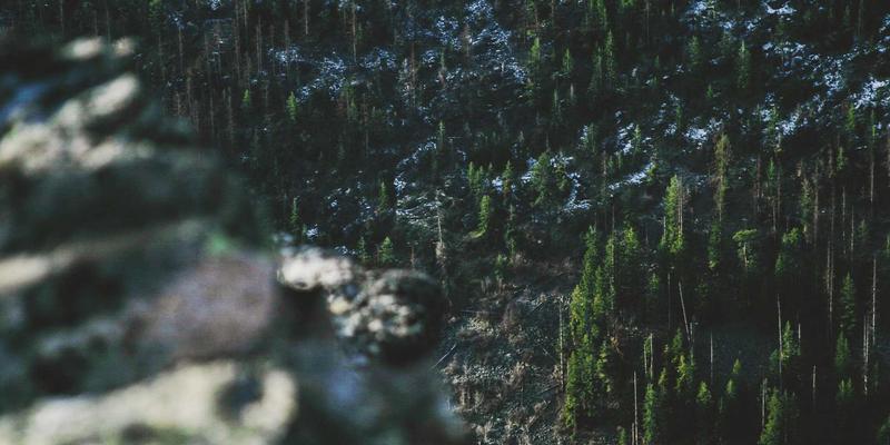 光影魔法师：WLA工作室如何用灯光设计重塑家居氛围与品牌价值